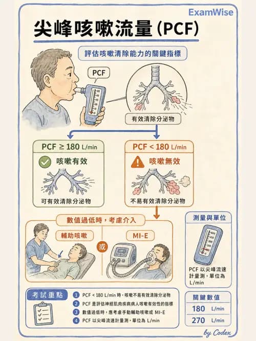 呼吸治療師 - 胸部擴張與物理治療設備 - AI 圖文解析預覽