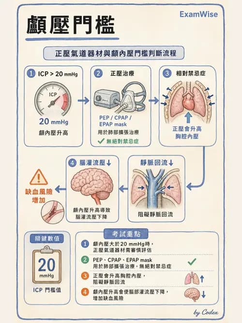 呼吸治療師 - 胸部擴張與物理治療設備 - AI 圖文解析預覽