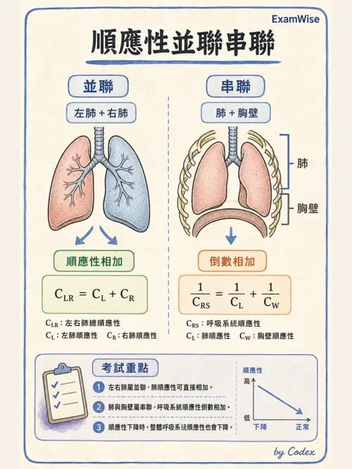 呼吸治療師 - 機械通氣生理 - AI 圖文解析預覽