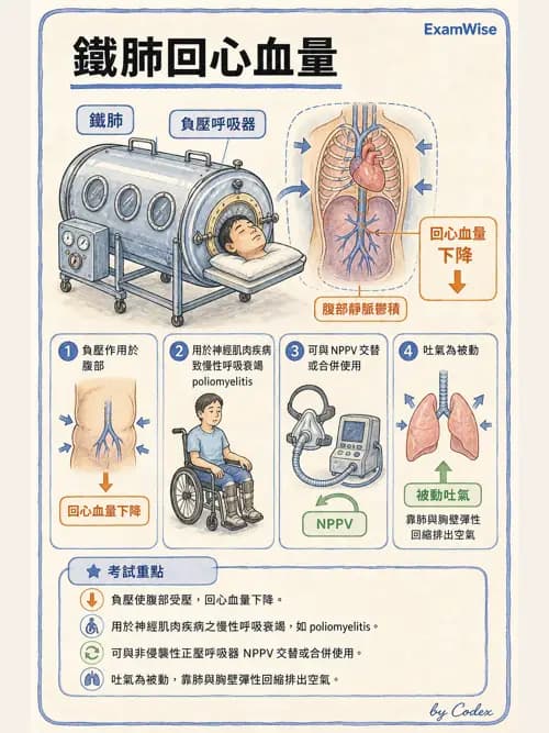 呼吸治療師 - 非侵襲性與居家通氣 - AI 圖文解析預覽