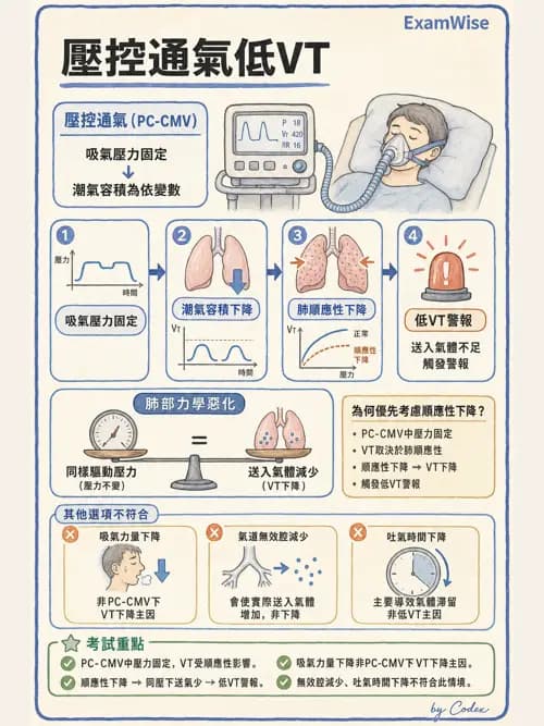 呼吸治療師 - 呼吸器圖形判讀與故障排除 - AI 圖文解析預覽