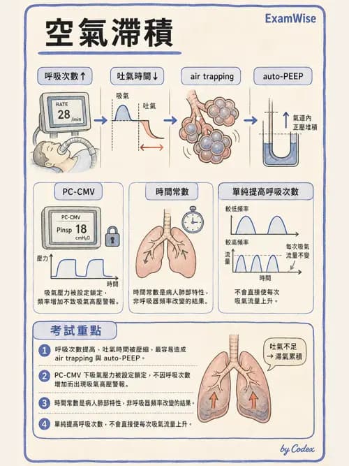 呼吸治療師 - 臨床設定、參數調整與脫離 - AI 圖文解析預覽