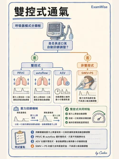 呼吸治療師 - 呼吸器設計與通氣模式 - AI 圖文解析預覽