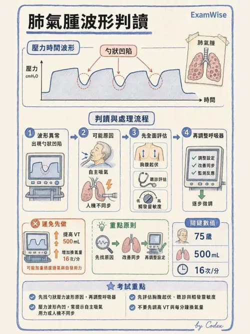 呼吸治療師 - 呼吸器圖形判讀與故障排除 - AI 圖文解析預覽