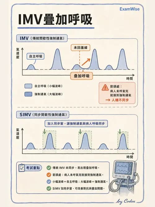 呼吸治療師 - 呼吸器圖形判讀與故障排除 - AI 圖文解析預覽