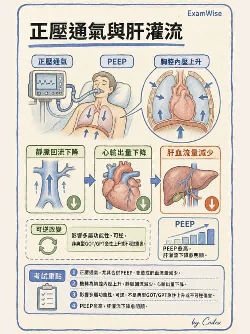 呼吸治療師 - 正壓通氣生理影響與合併症 - AI 圖文解析預覽