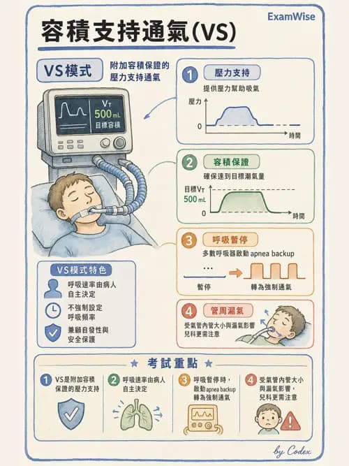 呼吸治療師 - 小兒呼吸器支持 - AI 圖文解析預覽