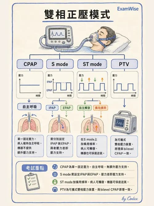 呼吸治療師 - 非侵襲性與居家通氣 - AI 圖文解析預覽