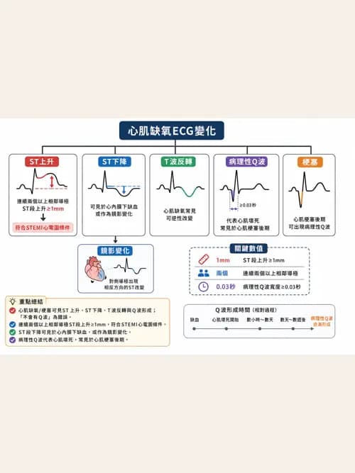 呼吸治療師 - 心臟疾病與COPD重症 - AI 圖文解析預覽
