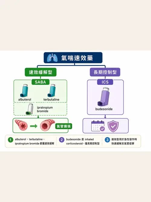 呼吸治療師 - 心臟疾病與COPD重症 - AI 圖文解析預覽
