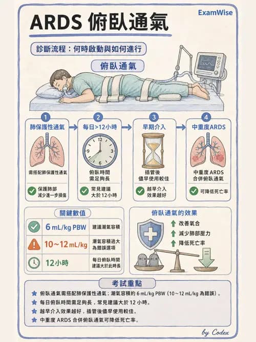 呼吸治療師 - ARDS與呼吸衰竭 - AI 圖文解析預覽