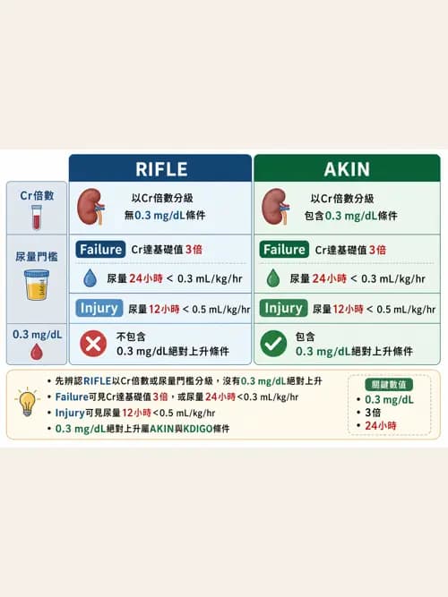 呼吸治療師 - 休克、敗血症與多器官衰竭 - AI 圖文解析預覽