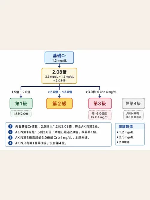 呼吸治療師 - 休克、敗血症與多器官衰竭 - AI 圖文解析預覽