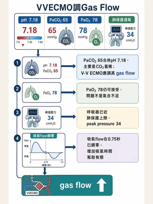 呼吸治療師 - 重症特殊處置 - AI 圖文解析預覽
