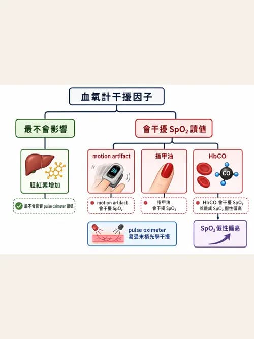 呼吸治療師 - 重症監測與判讀 - AI 圖文解析預覽