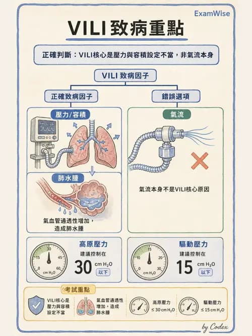 呼吸治療師 - 呼吸器併發症與感染 - AI 圖文解析預覽