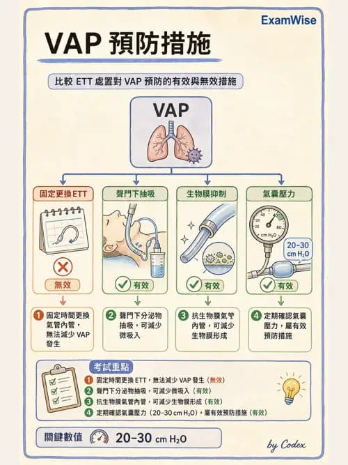 呼吸治療師 - 呼吸器併發症與感染 - AI 圖文解析預覽