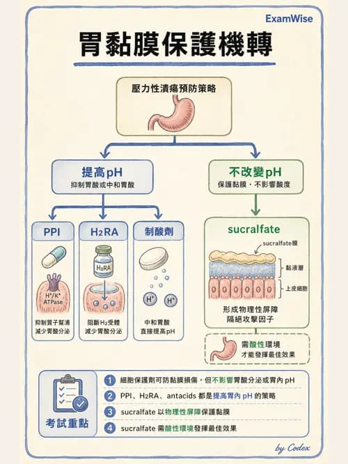 呼吸治療師 - 呼吸器併發症與感染 - AI 圖文解析預覽