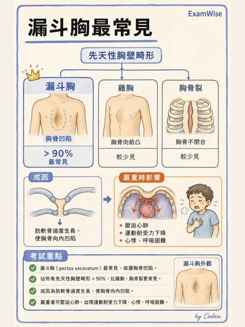 呼吸治療師 - 兒童呼吸系統疾病 - AI 圖文解析預覽
