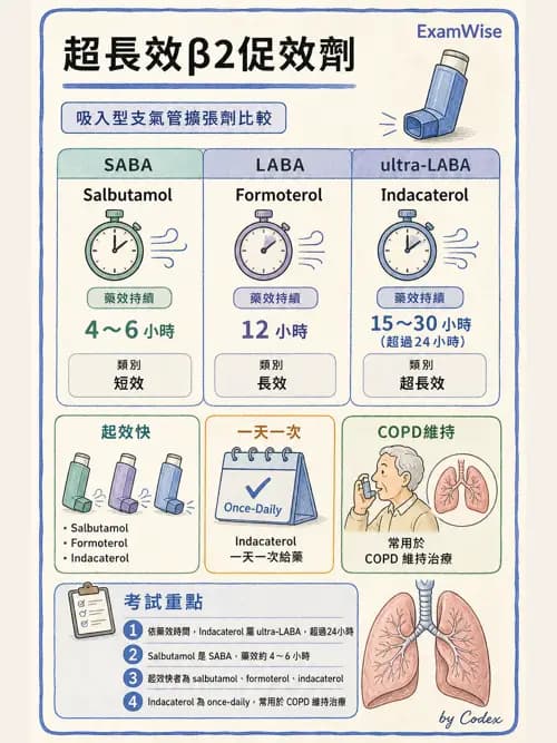 呼吸治療師 - 慢性氣道疾病 - AI 圖文解析預覽