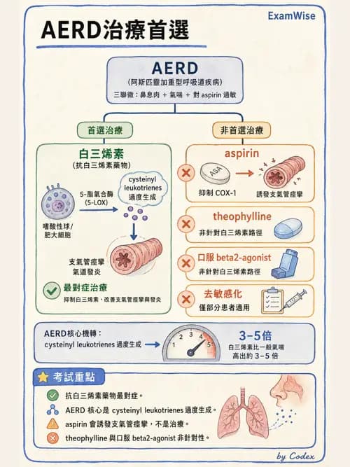 呼吸治療師 - 慢性氣道疾病 - AI 圖文解析預覽