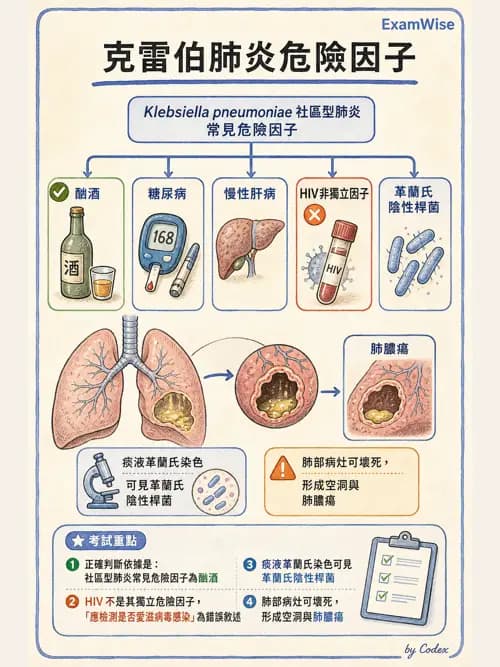 呼吸治療師 - 感染性肺疾 - AI 圖文解析預覽
