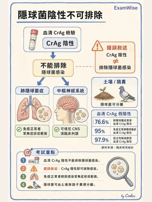 呼吸治療師 - 感染性肺疾 - AI 圖文解析預覽