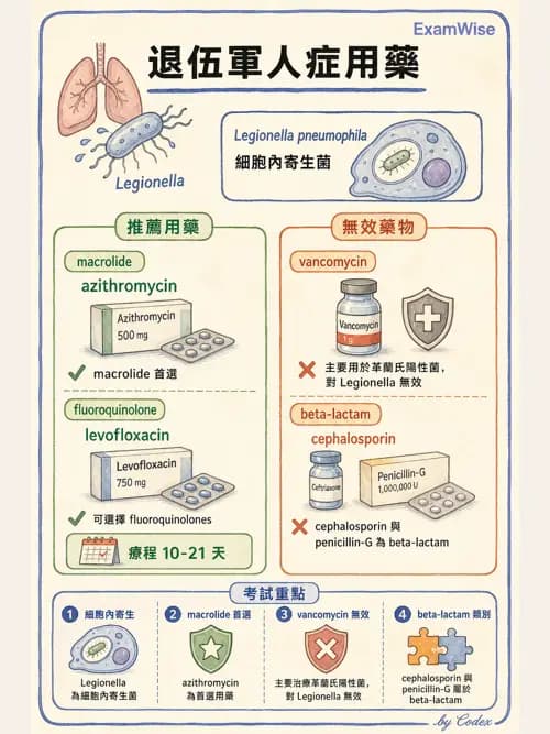 呼吸治療師 - 感染性肺疾 - AI 圖文解析預覽