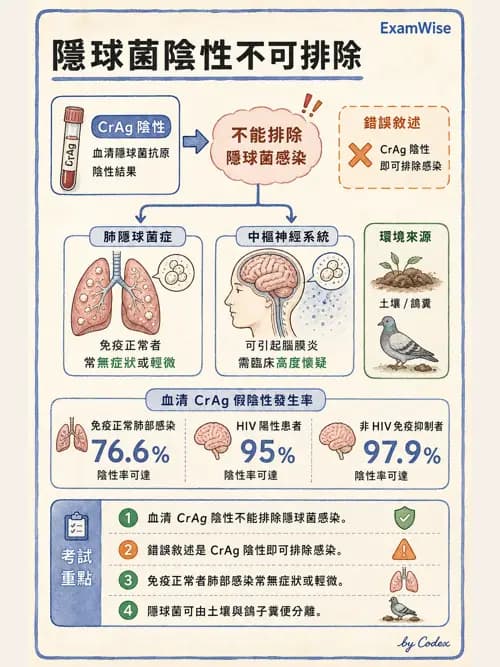 呼吸治療師 - 感染性肺疾 - AI 圖文解析預覽