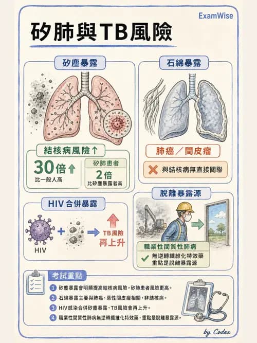 呼吸治療師 - 肺間質病變 - AI 圖文解析預覽