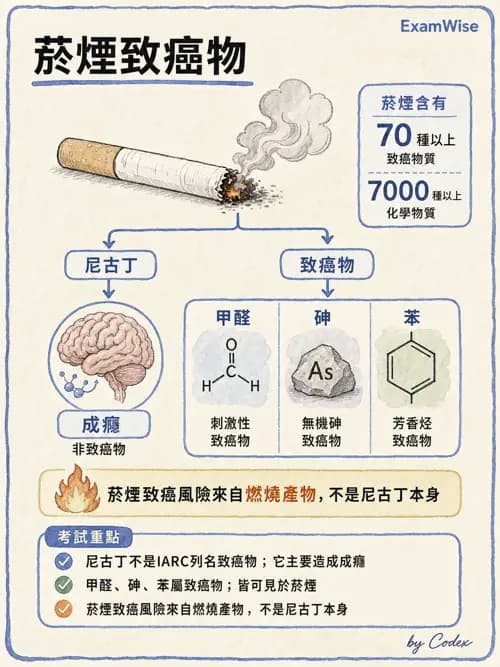 呼吸治療師 - 外力傷害與胸廓病變 - AI 圖文解析預覽