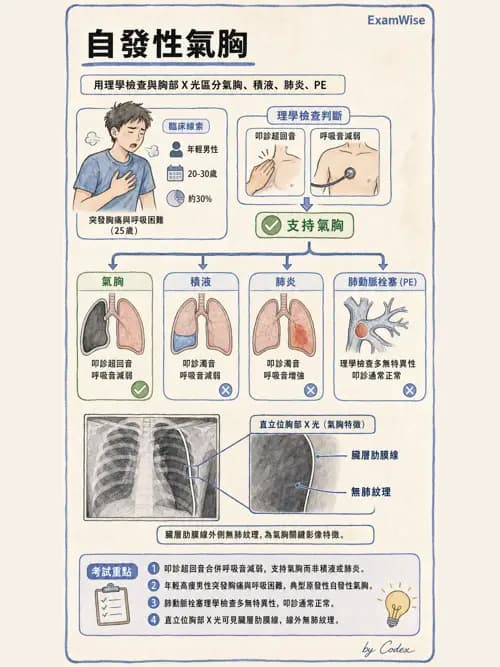 呼吸治療師 - 外力傷害與胸廓病變 - AI 圖文解析預覽