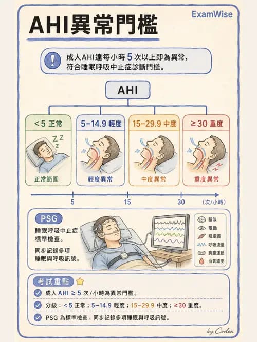 呼吸治療師 - 通氣、呼吸力學與控制 - AI 圖文解析預覽