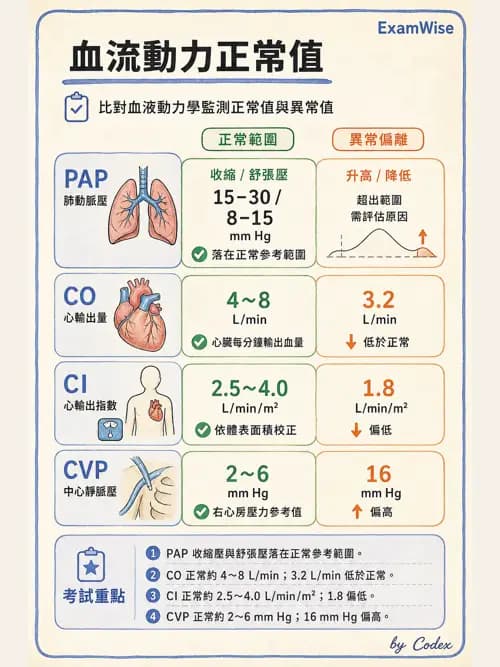 呼吸治療師 - 心臟生理與血液動力學 - AI 圖文解析預覽