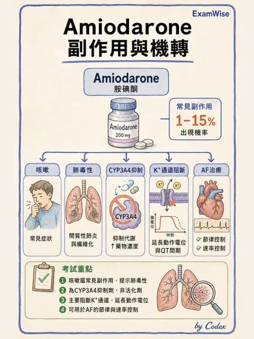 呼吸治療師 - 心臟血管藥物 - AI 圖文解析預覽