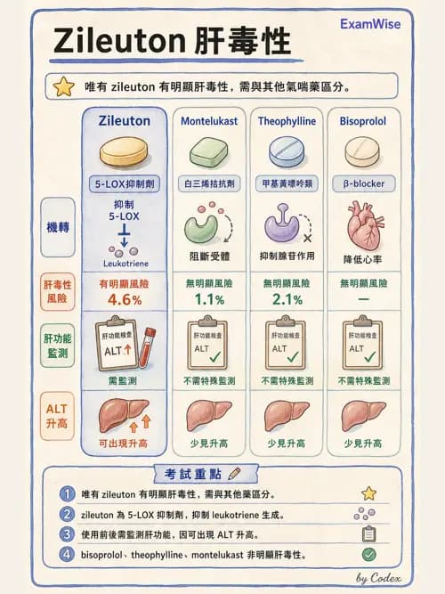 呼吸治療師 - 呼吸系統藥物 - AI 圖文解析預覽
