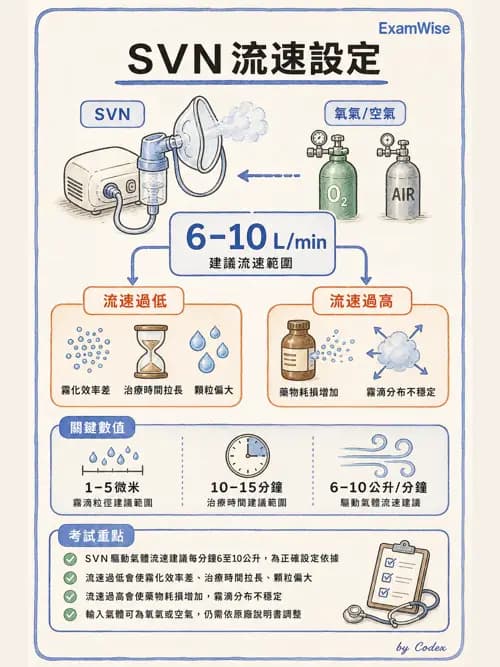 呼吸治療師 - 濕氣與霧氣治療 - AI 圖文解析預覽