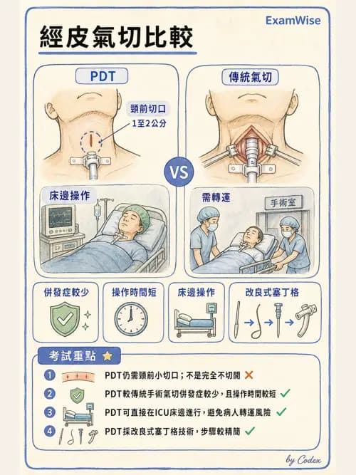 呼吸治療師 - 人工氣道處置 - AI 圖文解析預覽
