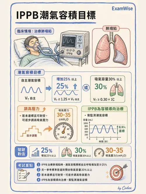 呼吸治療師 - 痰液清除與擴張治療 - AI 圖文解析預覽