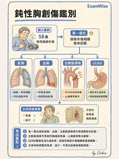 呼吸治療師 - 呼吸治療臨床作業與身體評估 - AI 圖文解析預覽