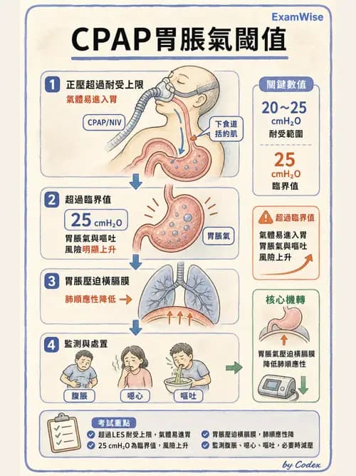 呼吸治療師 - 胸部擴張與物理治療設備 - AI 圖文解析預覽