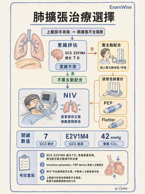 呼吸治療師 - 胸部擴張與物理治療設備 - AI 圖文解析預覽