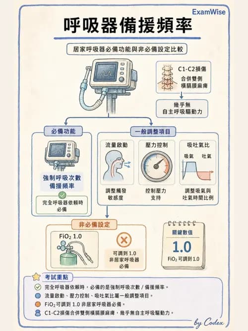 呼吸治療師 - 非侵襲性與居家通氣 - AI 圖文解析預覽