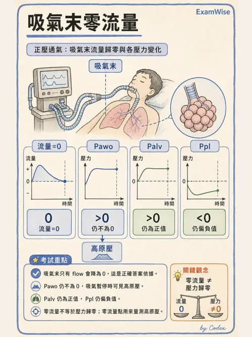 呼吸治療師 - 機械通氣生理 - AI 圖文解析預覽