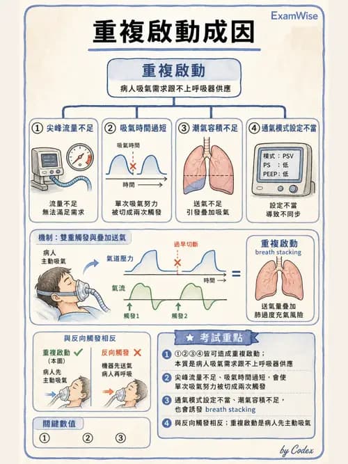 呼吸治療師 - 呼吸器監測與評估 - AI 圖文解析預覽