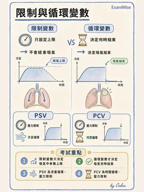 呼吸治療師 - 呼吸器設計與通氣模式 - AI 圖文解析預覽
