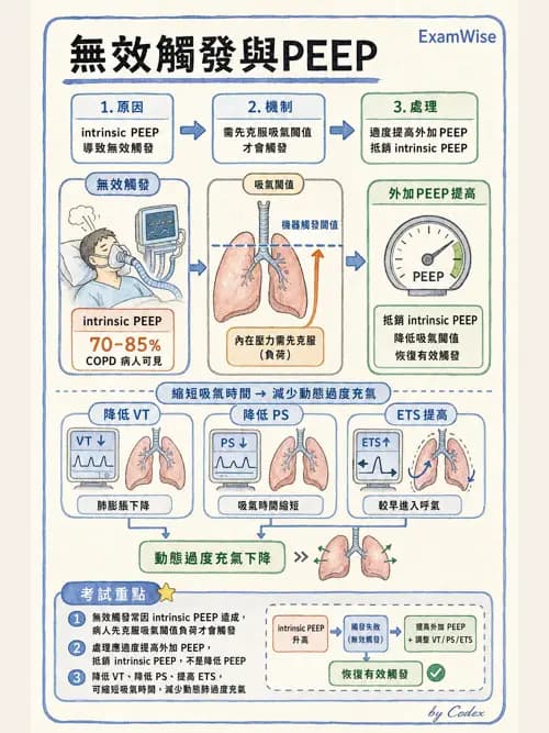 呼吸治療師 - 臨床設定、參數調整與脫離 - AI 圖文解析預覽