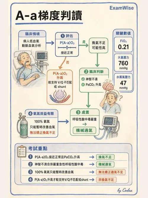 呼吸治療師 - 臨床設定、參數調整與脫離 - AI 圖文解析預覽
