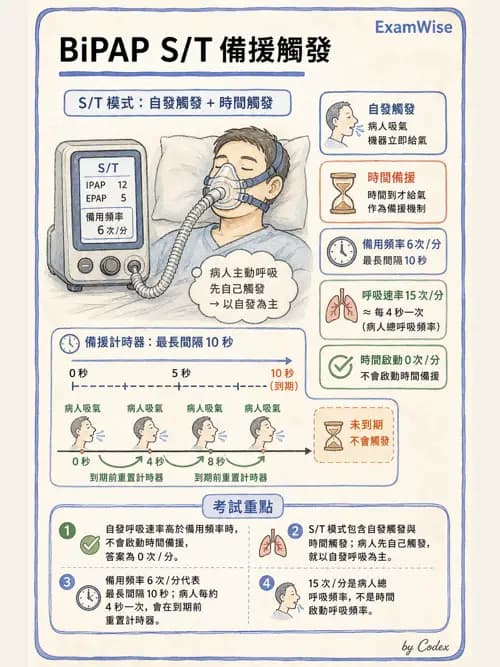 呼吸治療師 - 非侵襲性與居家通氣 - AI 圖文解析預覽