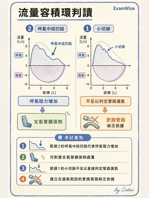 呼吸治療師 - 呼吸器圖形判讀與故障排除 - AI 圖文解析預覽
